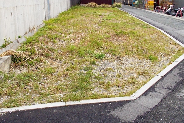 防草対策 (before)